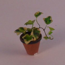 Plant #F by Hiroyuki & Kyoko