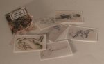 Portfolio w/Nude Drawings by Montserrat Folch