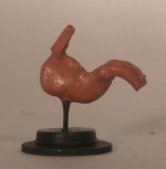 Stomach Model
