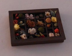 Mineral Display #4 by Tanaka Reiko