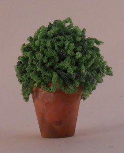 Plant by Tanaka Reiko