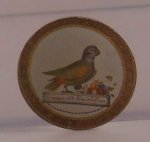 Tortoise Shell Plate by Ellen Krucker Blauer *estate*