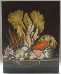 Coral and Shell Still Life by Christopher Whitford