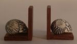 Fossil Speciman Bookends #2 by Wendy Smale