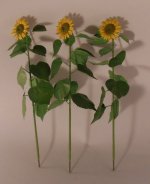 Sunflower by Masahiro Mahara