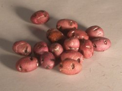 Red Potato by Pat richmond