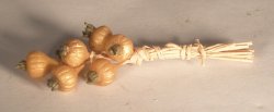 Onion Group by Pat richmond