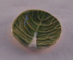 Lettus Leaf Dinner Plate by Dodie Tayer Collection