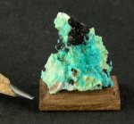 Mineral Speciman Chrysocolla #1583 by Wendy Smale