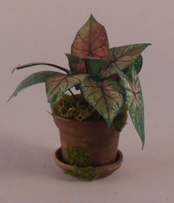 Plant #1 by Artistic Florals