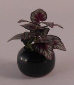 Plant #6 by Artistic Florals