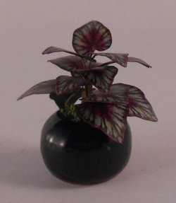 Plant #6 by Artistic Florals