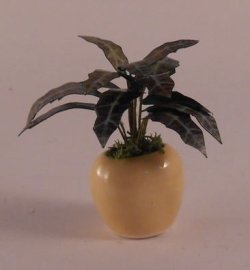 Plant #7 by Artistic Florals