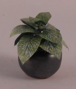 Plant #9 by Artistic Florals