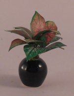 Plant #10 by Artistic Florals
