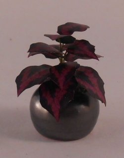 Plant #12 by Artistic Florals