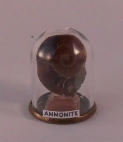 Mineral Display in Dome #1 by Artistic