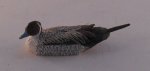 Pintail Drake Duck Decoy by Doug Guy