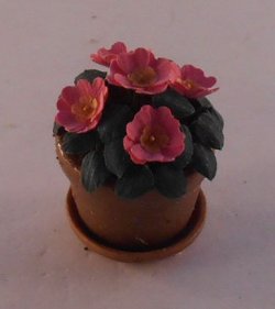 Pink Plant by Artistic Florals