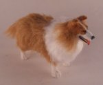 Collie by Alice Zinn