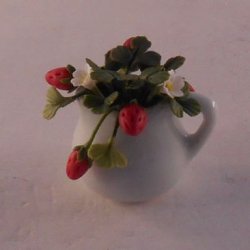 Strawberry Plant in Pitcher by Pat Richmond