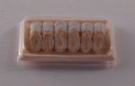 Canoli #A