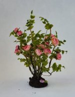 Rose Bush #6 by Gosia Suchodolska Rose Bush #6 by Gosia Suchodolska