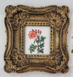Botanical Painting #101 by Christopher Whitford