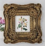 Botanical Painting #119 by Christopher Whitford