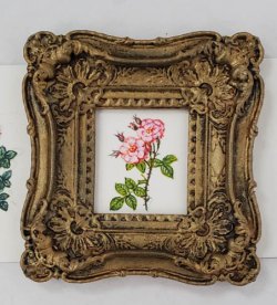 Botanical Painting #102 by Christopher Whitford