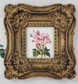 Botanical Painting #114 by Christopher Whitford