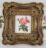 Botanical Painting #106 by Christopher Whitford