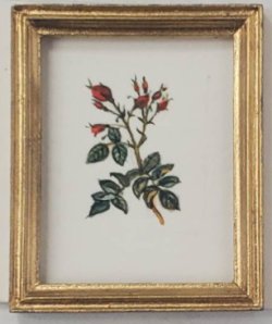 Botanical Painting #P3 by Christopher Whitford