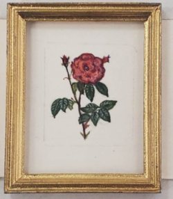 Botanical Painting #P5 by Christopher Whitford
