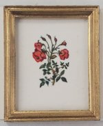 Botanical Painting #P6 by Christopher Whitford