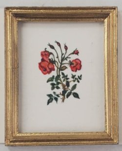 Botanical Painting #P6 by Christopher Whitford