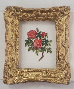 Botanical Painting #F6 by Christopher Whitford