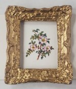 Botanical Painting #F7 by Christopher Whitford