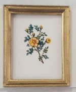 Botanical Painting #P10 by Christopher Whitford