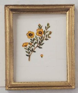 Botanical Painting #P11 by Christopher Whitford