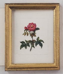 Botanical Painting #P12 by Christopher Whitford