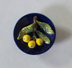 Fruit Plate by Dominique Levy
