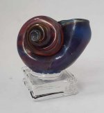 Shell #12 by Segio Segura