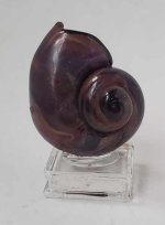 Shell #13 by Segio Segura