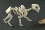 Sabre Tooth Tiger by Wendy Smale