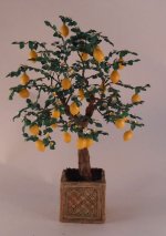 Lemon Tree in Square Pot by Paula Gilhooley