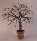 Dogwood Tree by Paula Gilhooley