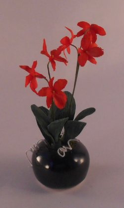 Orange Orchid by Artistic Florals