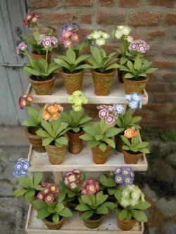 Primula Dark Pink Flower Kit by Pascale Garnier