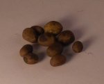 Potato Set of 10 by Martyna Zalewska